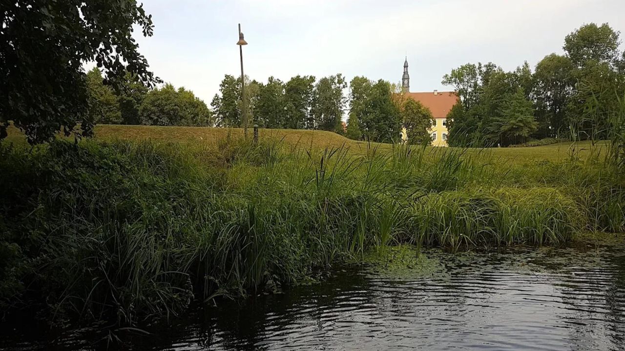 AreaSummer5KM AreaSummer5KM